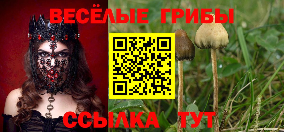 Канаш  Галлюциногенные грибы мухоморы  Вход с VPN 