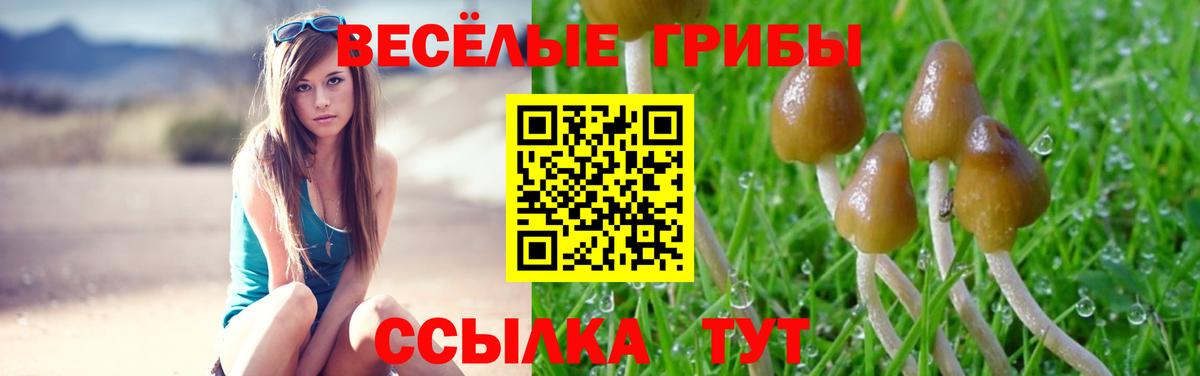 Псилоцибиновые грибы Psilocybine cubensis Канаш