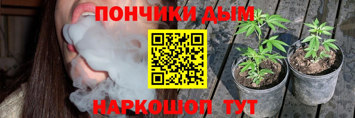 Канабис гибрид  Вход с VPN  Бошки Шишки сатива  Канаш  Каннабис конопля 
